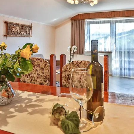 Hotel Pension Residence 拉姆绍达赫斯坦