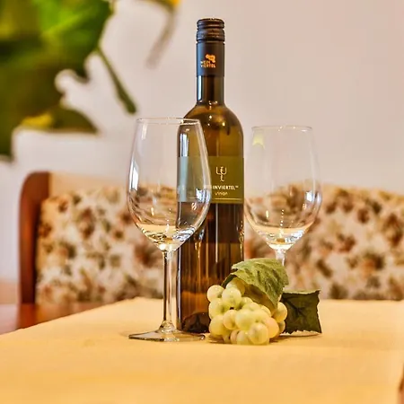 招待所 Hotel Pension Residence 拉姆绍达赫斯坦