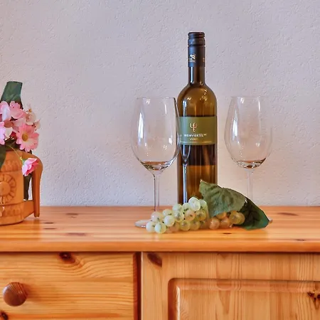 Hotel Pension Residence 拉姆绍达赫斯坦