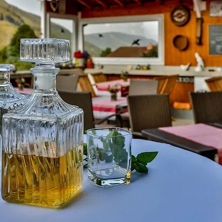 Guest house Hotel Pension Residence Ramsau am Dachstein