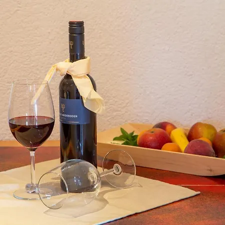 招待所 Hotel Pension Residence 拉姆绍达赫斯坦