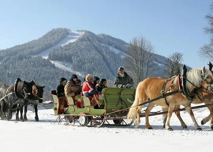 Hotel Pension Residence Affittacamere