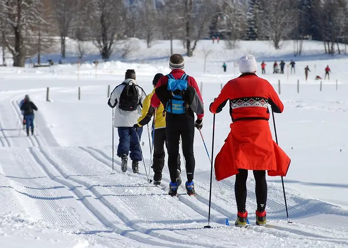 Hotel Pension Residence Affittacamere Ramsau am Dachstein